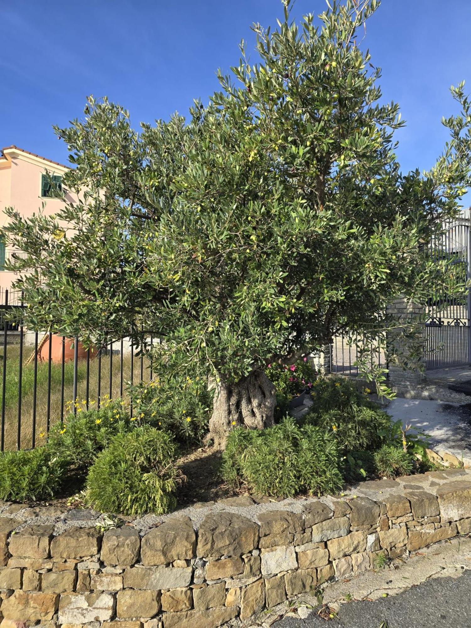 Casa Diana Apartment Sanremo Exterior photo